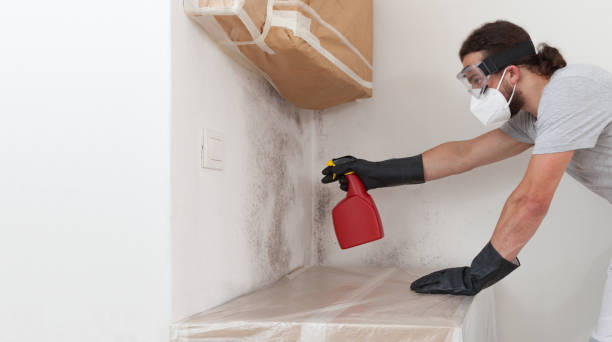 Attic Mold Remediation treatment on roof deck in Nunica